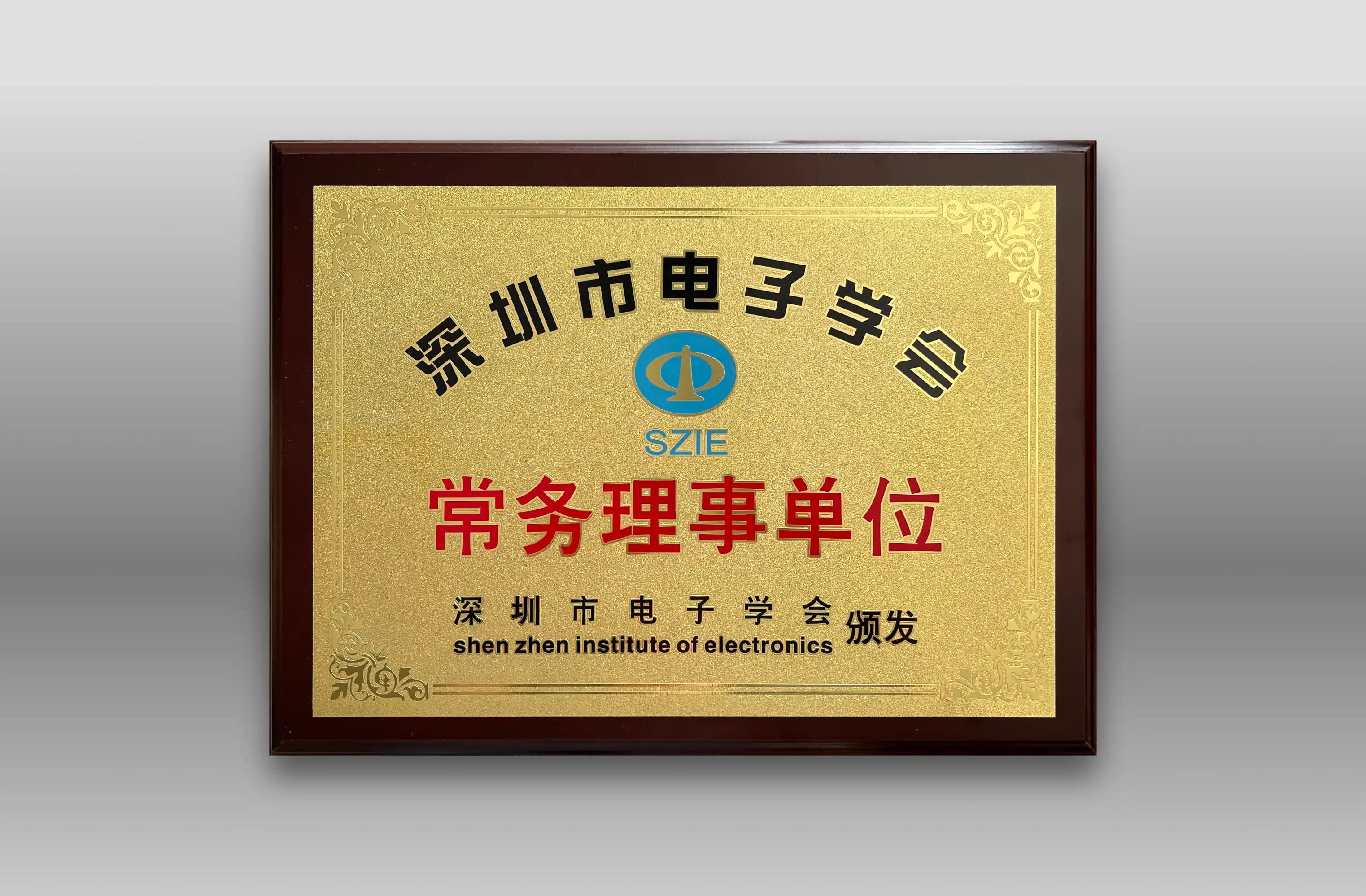 Executive Director Unit of Shenzhen Electronics Society