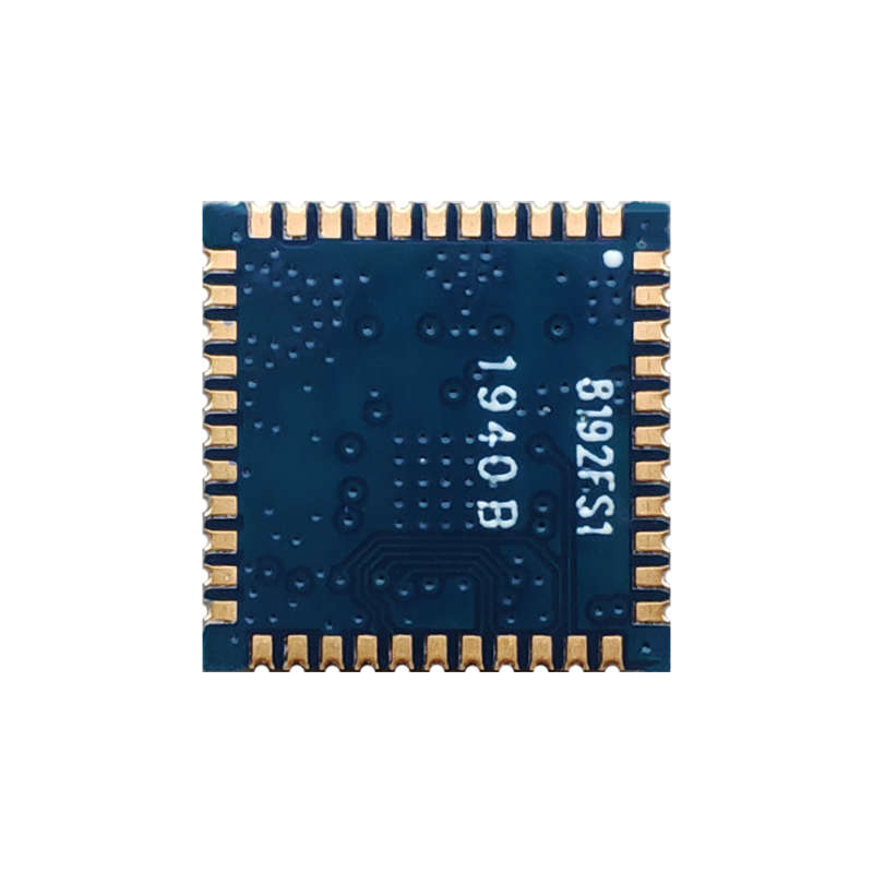 WiFi4 Modules - BL-M8192FS1 Product Display Picture 2